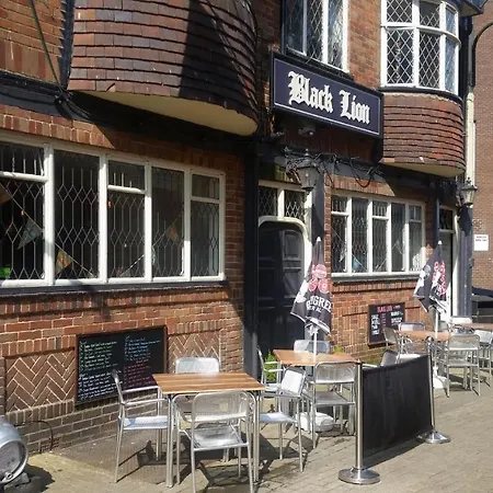 Hotel Black Lion 3*