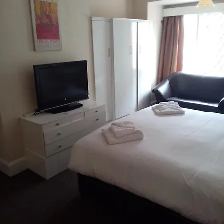 Black Lion Otel